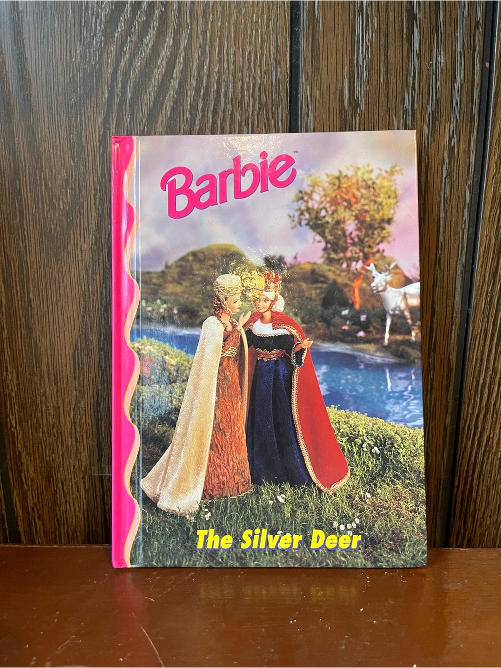 Barbie Book The Silver Deer Pink Red Blue